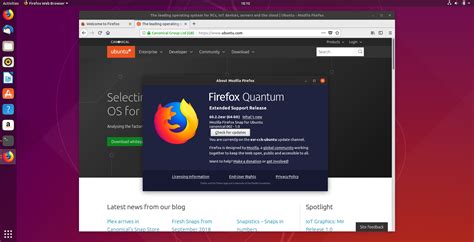 Преимущества ESR Firefox