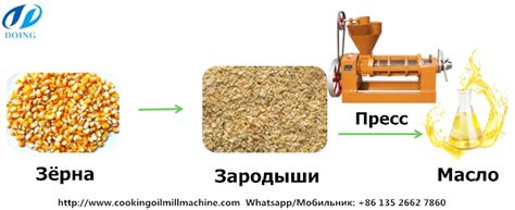 Прессованное масло – важность и процесс создания