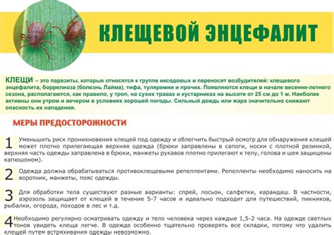 Прививка от клещевого энцефалита V1: особенности и эффективность