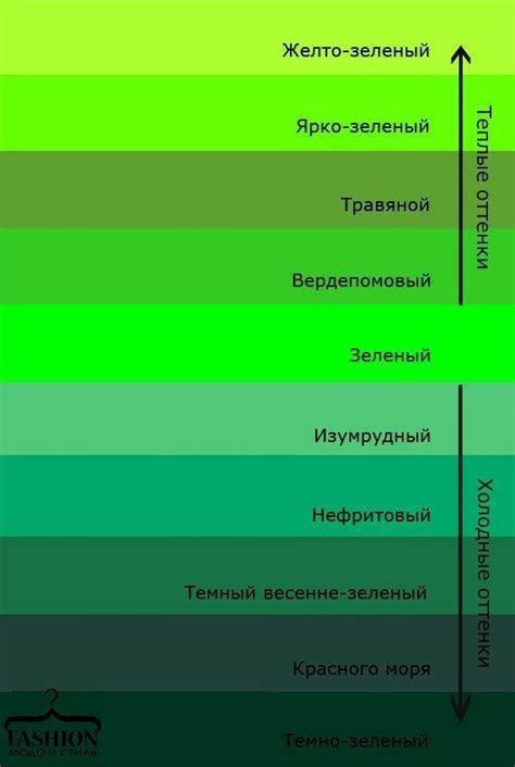 Привлекательность зеленого цвета