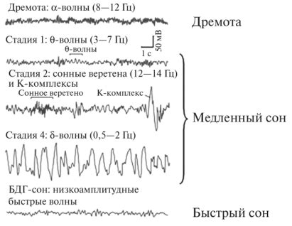 Признаки благоприятного сна с глины