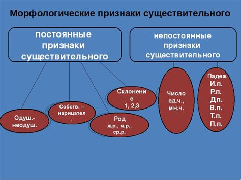 Признаки именного существительного