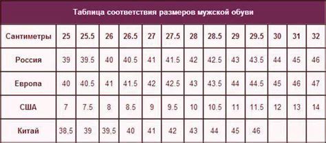 Признаки и значение снов о получении свежей обуви для женщин, находящихся в браке: намеки от судьбы