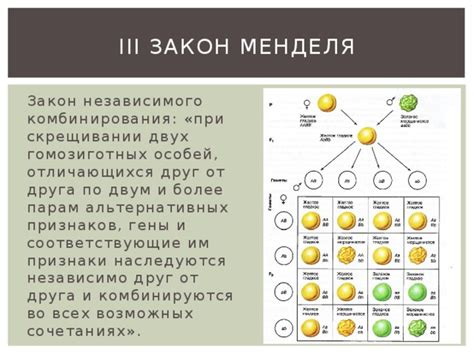 Признаки наследуются независимо