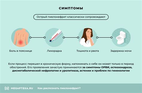 Признаки необструктивного хронического пиелонефрита