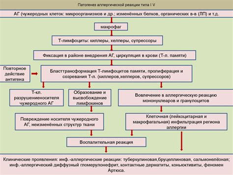 Признаки реактивности