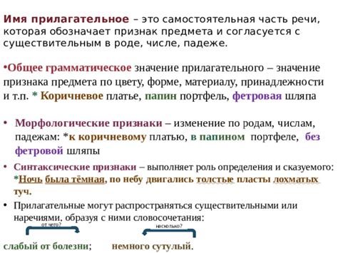 Прилагательное: значение и примеры употребления