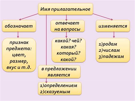 Прилагательное: многогранность характеристик существительного