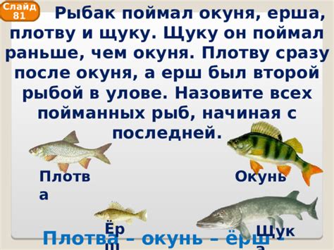 Приложение толкования снов о улове окуня в повседневной реальности