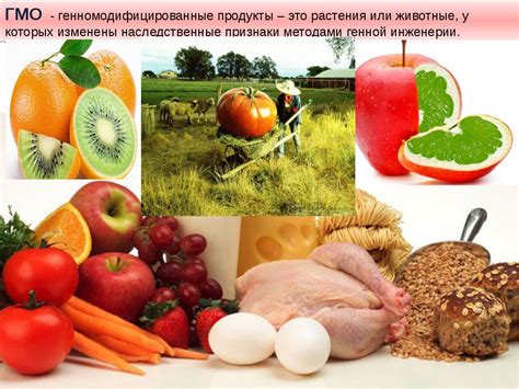 Применение ГМО в продуктах питания