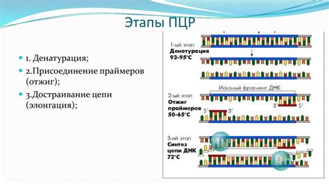 Применение ПЦР кода в науке