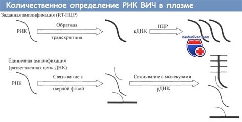 Применение анализа РНК ВИЧ для определения эффективности лечения