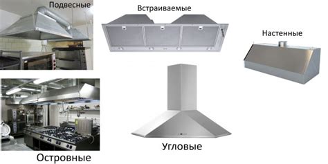 Применение водной вытяжки в различных сферах