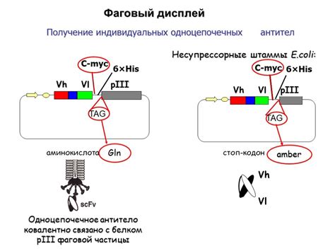 Применение в медицине и научных исследованиях