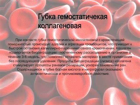 Применение губки гемостатической коллагеновой в медицине