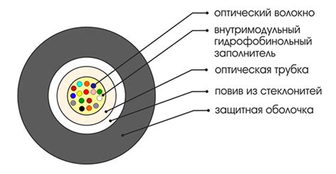 Применение кабеля крипторха в современных технологиях