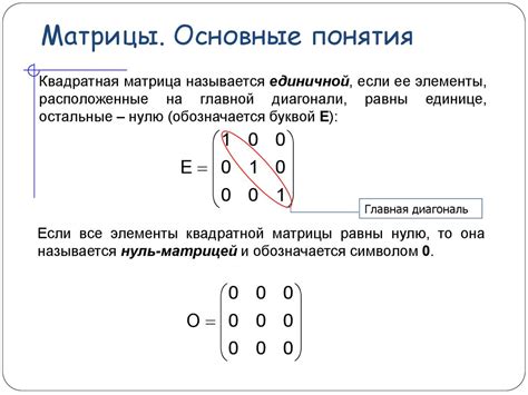 Применение матрицы в математике