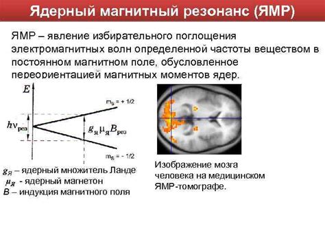 Применение медицинской оптики в диагностике