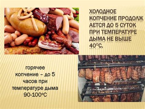 Применение мясосодержащих продуктов в пищевой промышленности