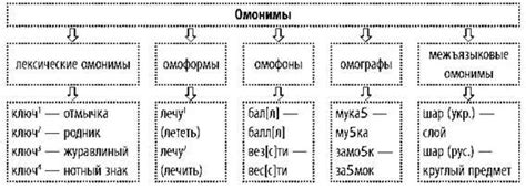 Применение омонимов в современной речи