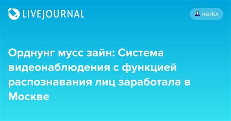 Применение орднунг мусс зайн в современном мире