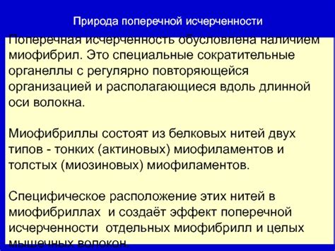 Применение поперечной исчерченности