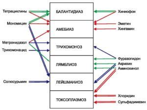 Применение противопротозойных лекарств