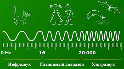 Применение расквасывания сопатки в медицине