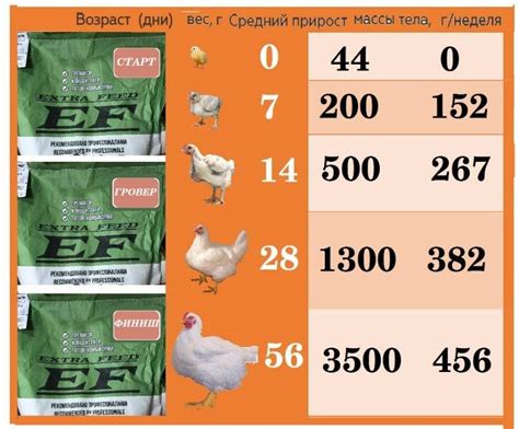 Применение результатов таблицы веса бройлеров Росс 308 Чехия