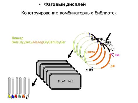 Применение рефлектора в научных исследованиях