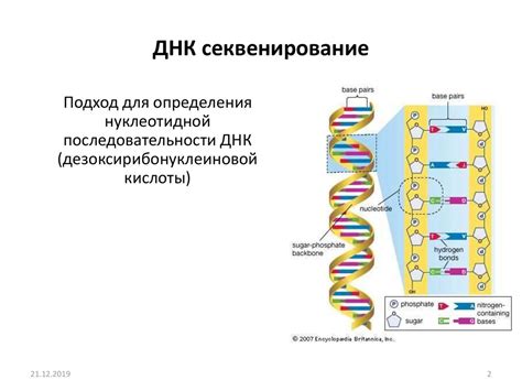 Применение секвенирования генома