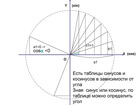 Применение синуса и косинуса