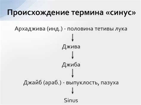 Применение термина в различных сферах