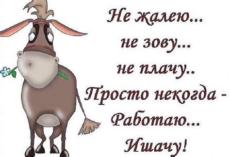 Применение фразы "подь сюды" в бизнесе и работе