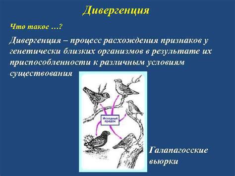 Примеры видовых признаков в различных группах организмов