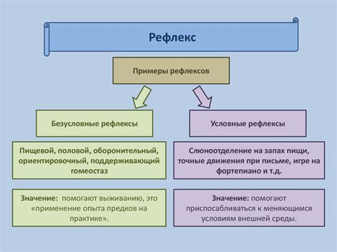 Примеры видоспецифичных рефлексов