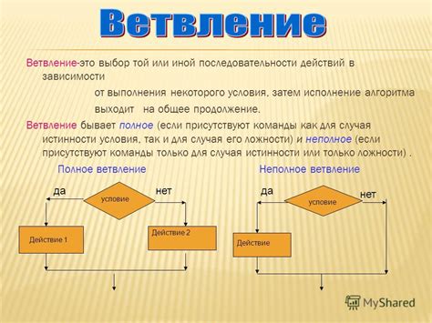 Примеры выполнения команды