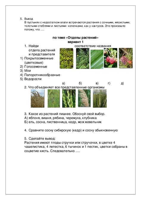 Примеры задач по биологии