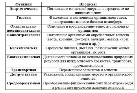 Примеры заделов за живое