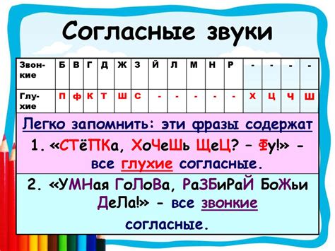 Примеры звонких парных согласных звуков