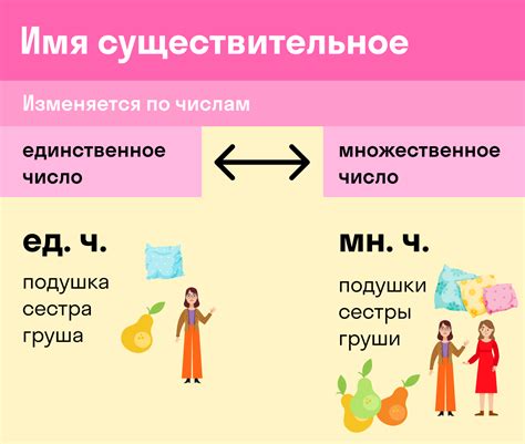 Примеры изменения формы числа имени существительного