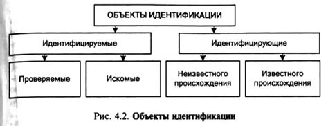 Примеры инструментальной идентификации