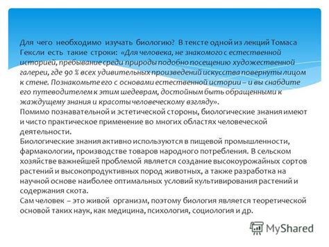 Примеры использования Онейни ами в повседневной жизни