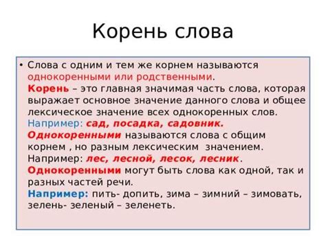 Примеры использования понятия "корень можно"