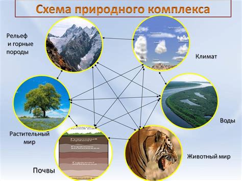 Примеры использования регулярной области