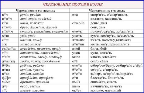 Примеры использования слова "Нелицеприятен"