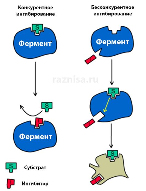 Примеры конкурентного ингибирования ферментов