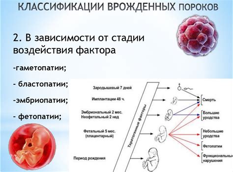 Примеры критических периодов в жизни человека