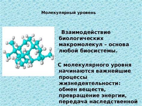 Примеры молекулярного вида реакций