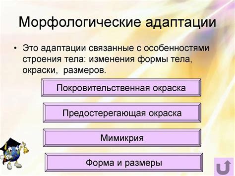 Примеры морфологических форм